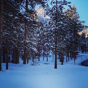 Meet your Posher, Martha